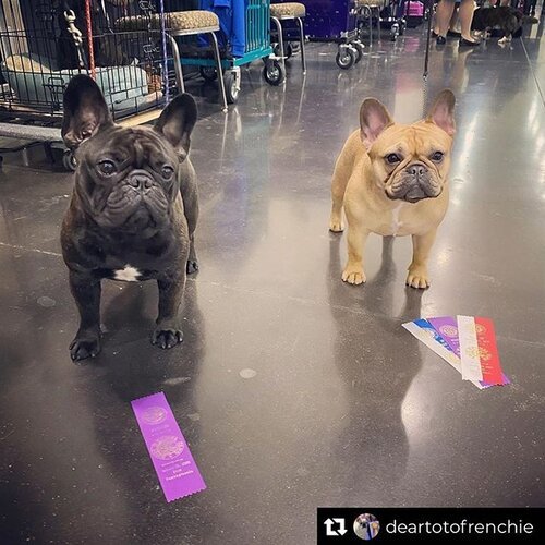 Erie Kennel Club