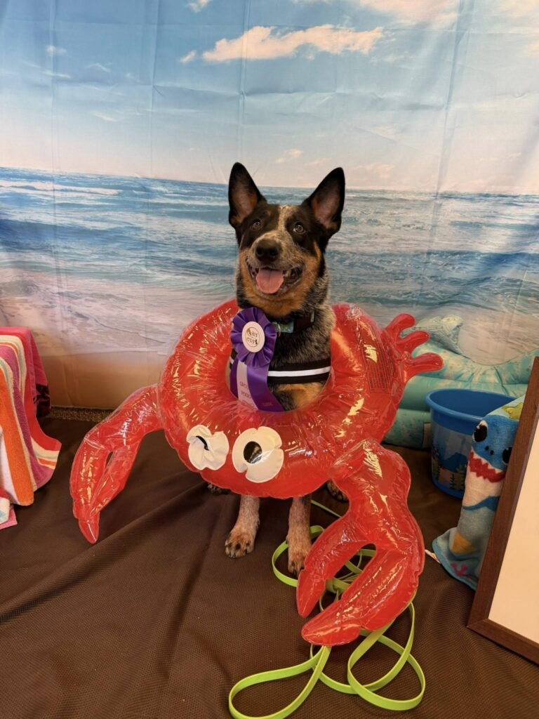 Groovy Pooch