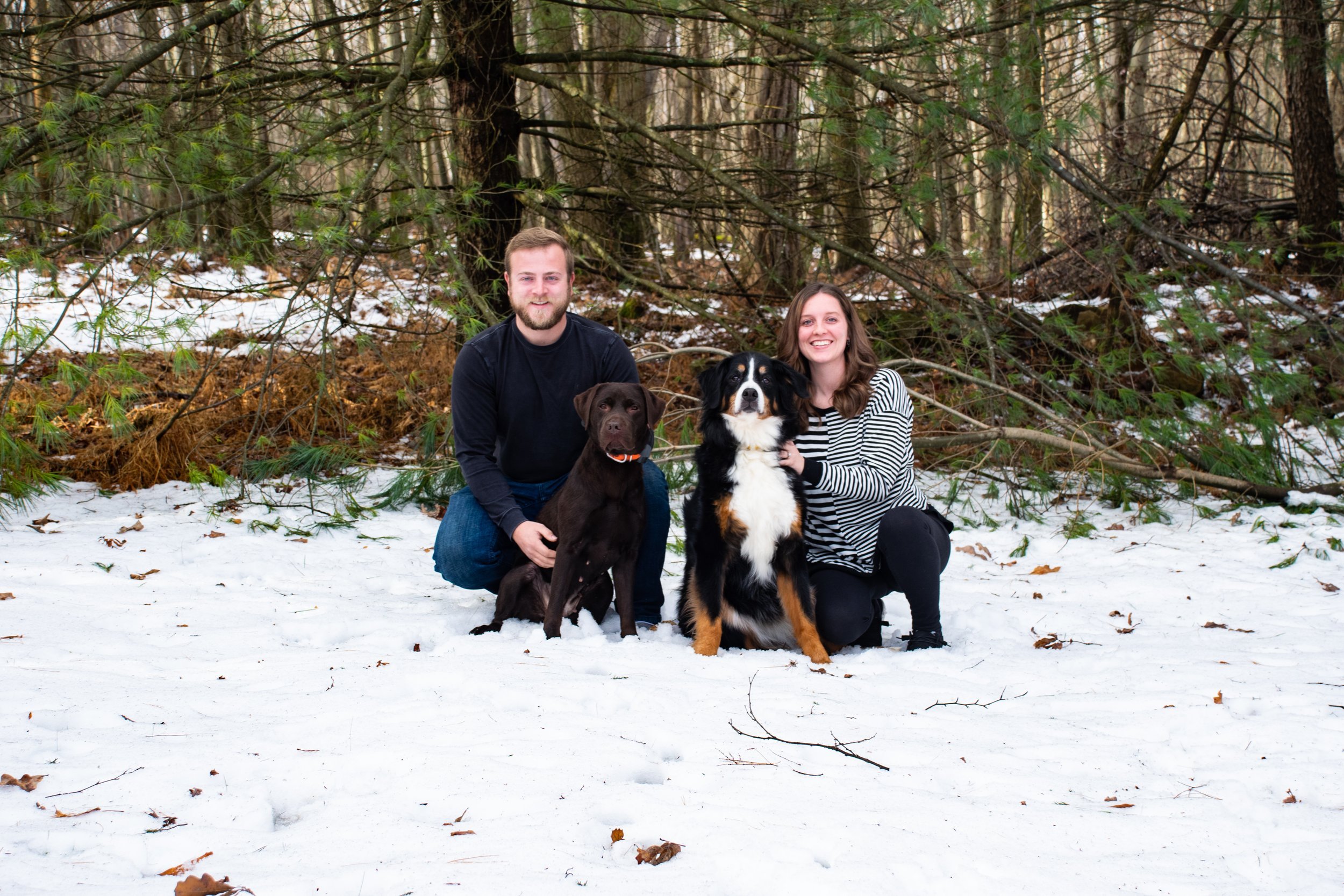 Triple Tree Kennels