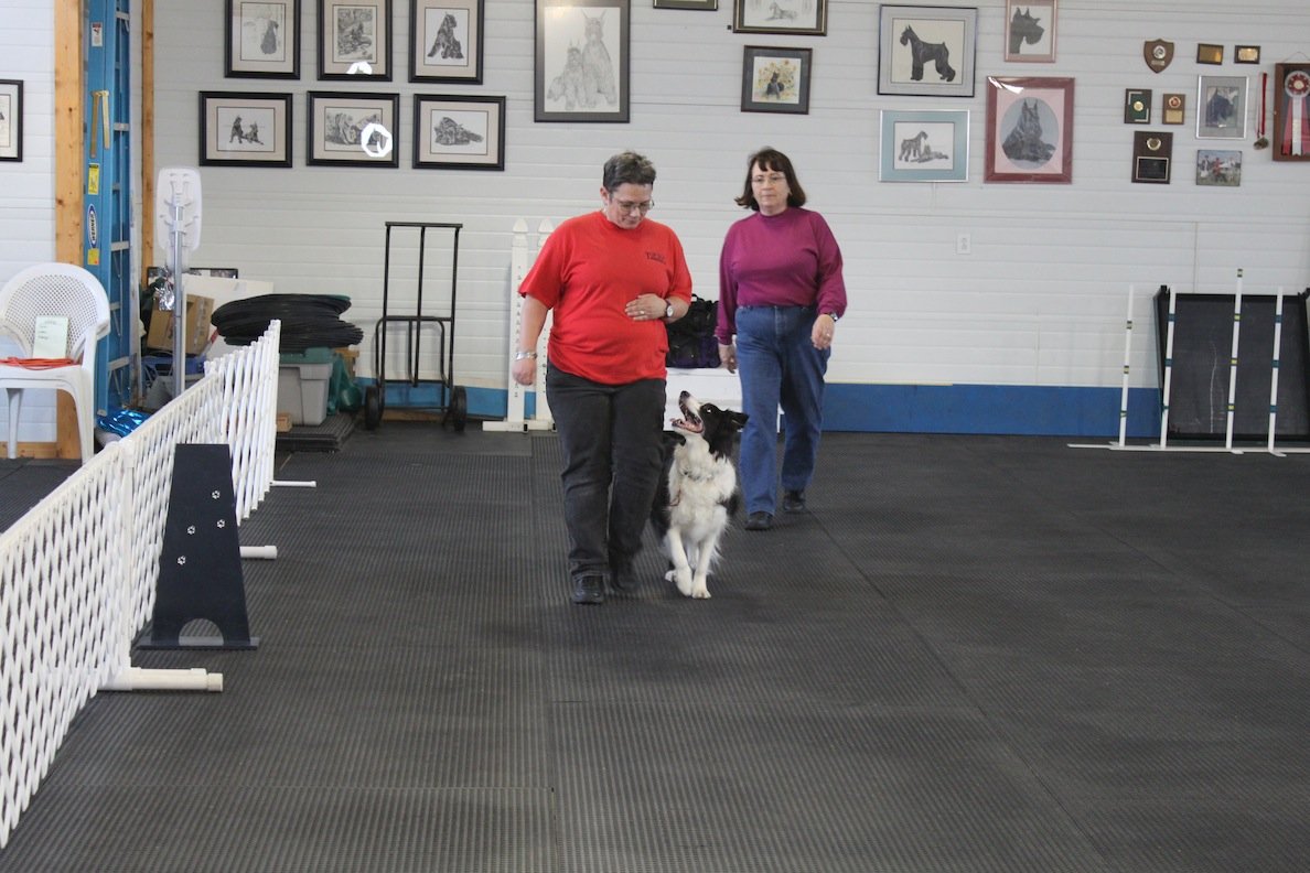 Williamsport Dog Training Club