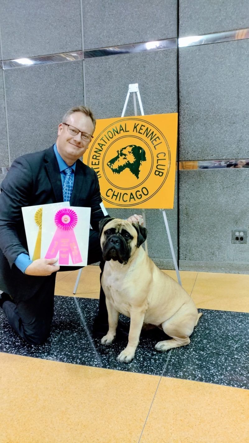 Premier Pack Dog Training and Behavior Solutions — dog trainer in Detroit, MI