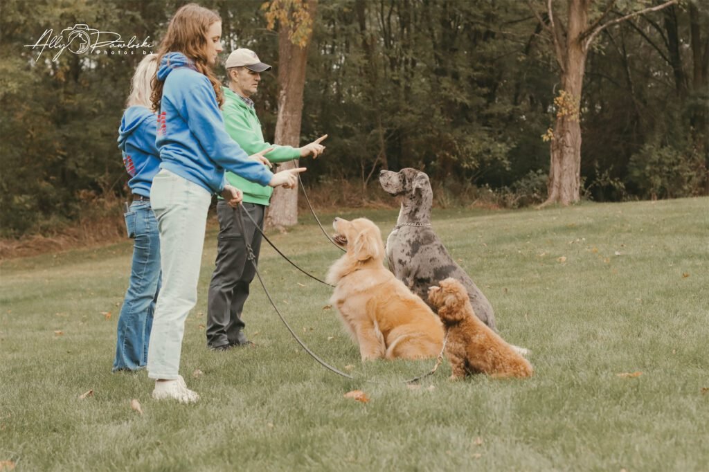 K9 Academy International,LLC