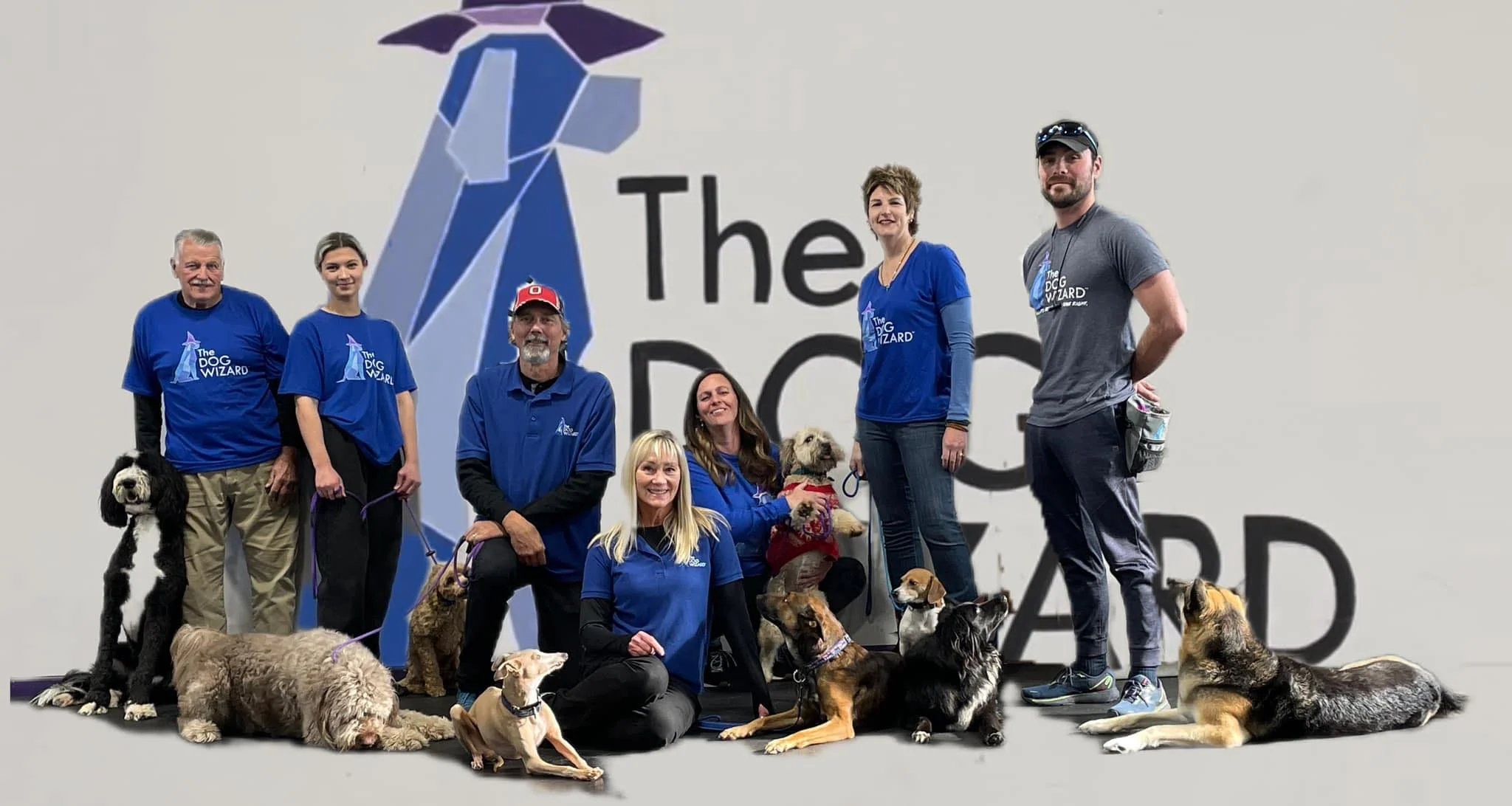 The Dog Wizard Ann Arbor — dog trainer in Ann Arbor, MI