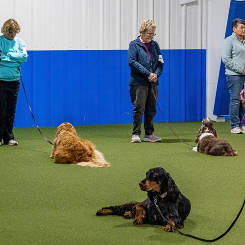 Ann Arbor Dog Training Club