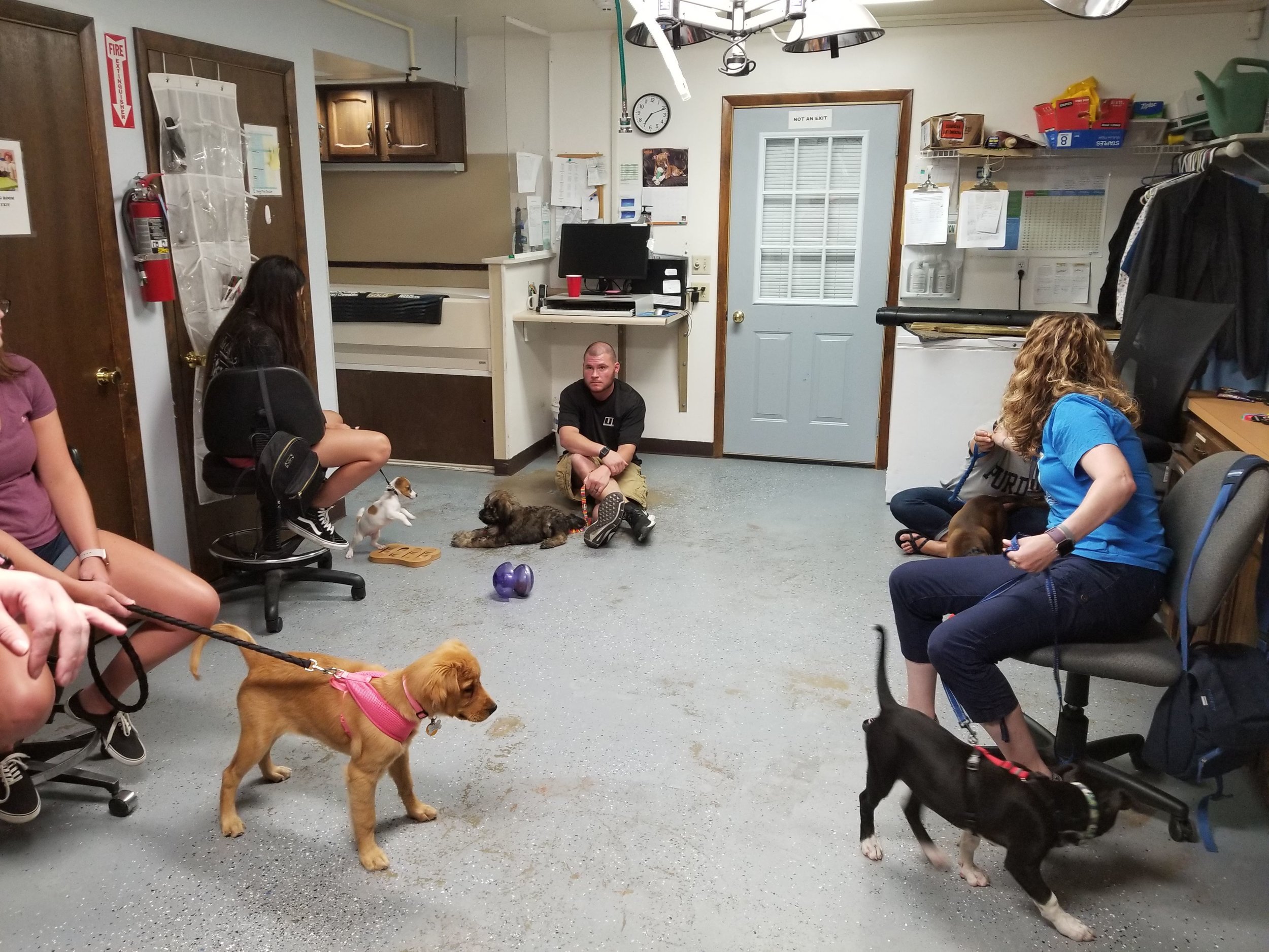 Pals and Paws Academy