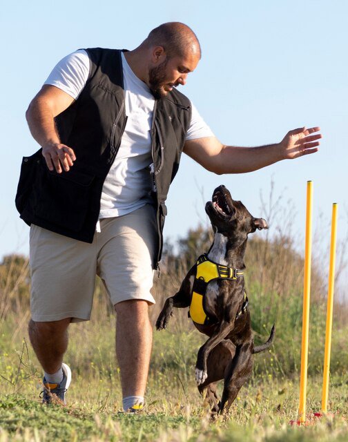 Crimson K9 Dog Training