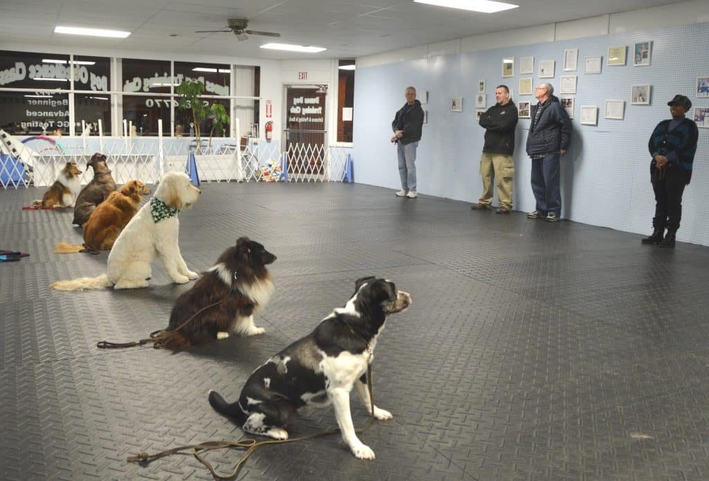 Dunes Dog Training Club