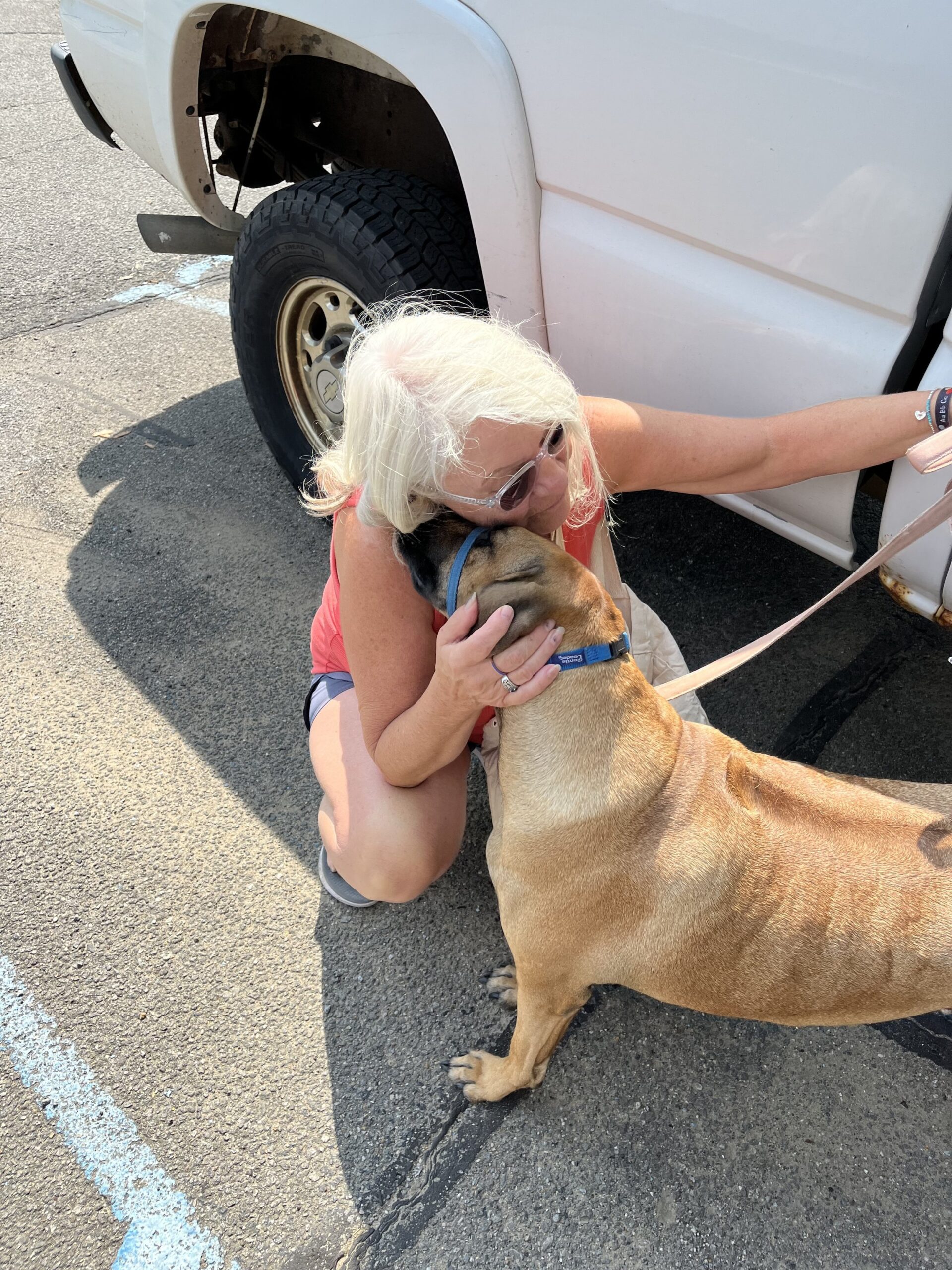 Dozer's Pet Academy — dog trainer in Valparaiso, IN