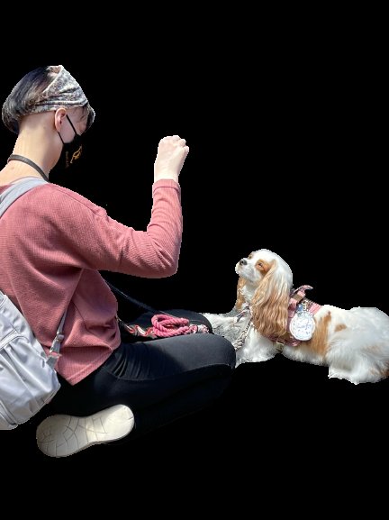 Working Paws Canine Training