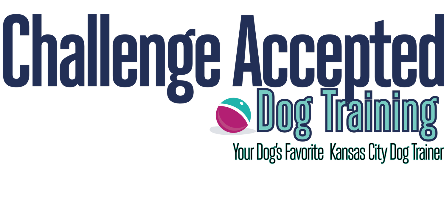 Challenge Accepted Dog Training logo
