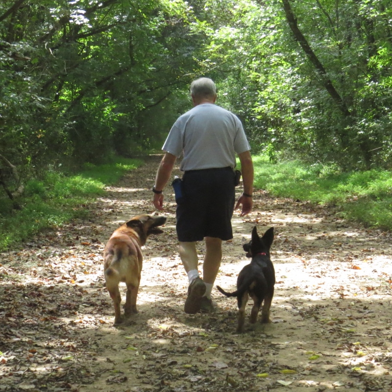 Charlie’s K-9 Camp