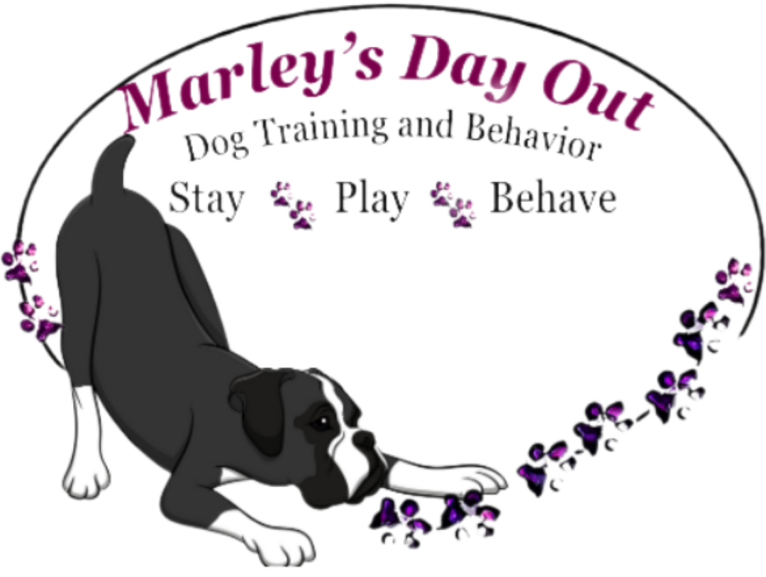 Marley's Day Out Dog Training — dog trainer in Tulsa, OK