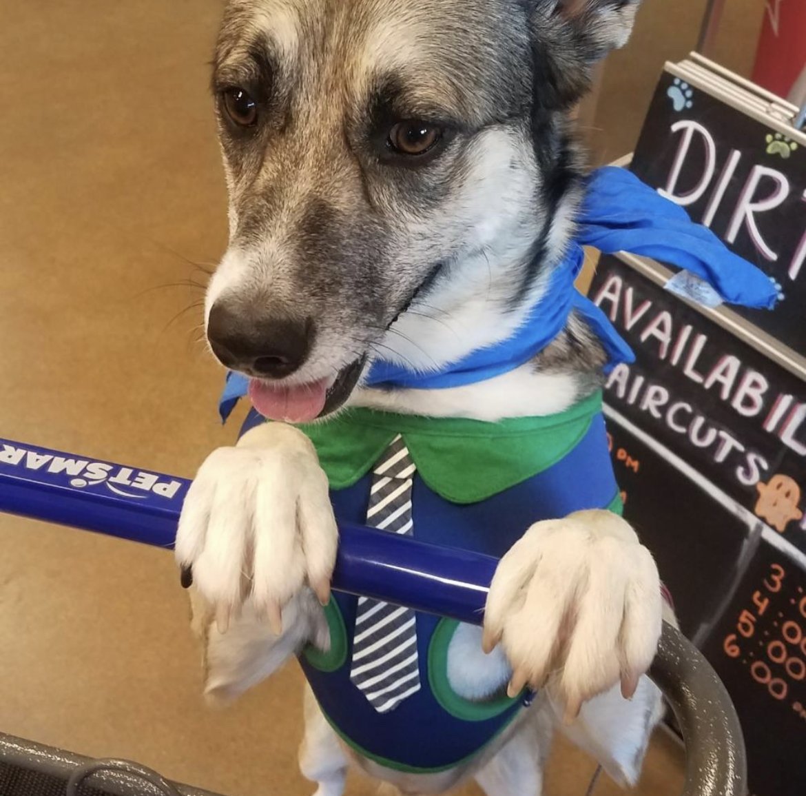 ZeWoof LLC