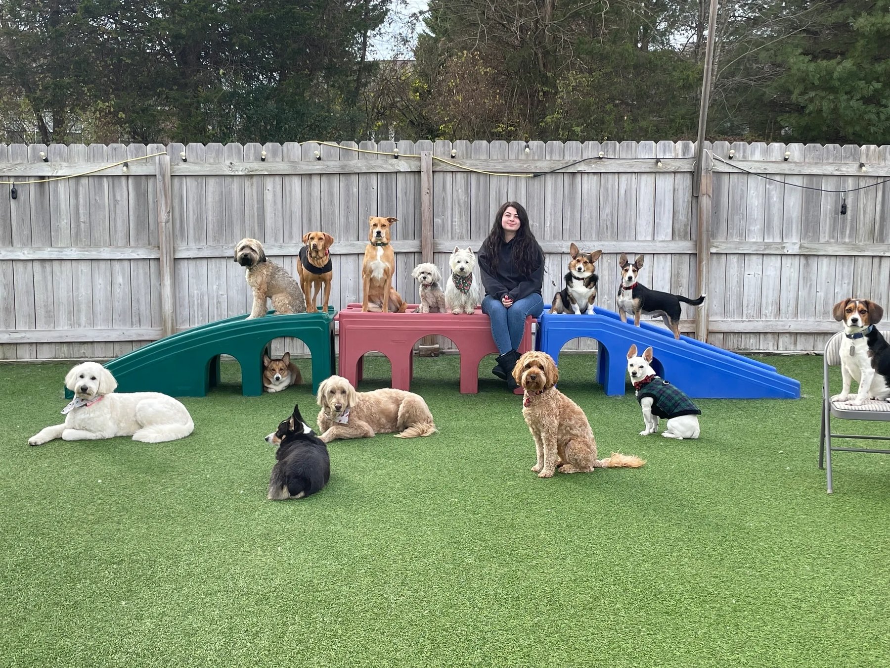 Ultimutt Knoxville Inc