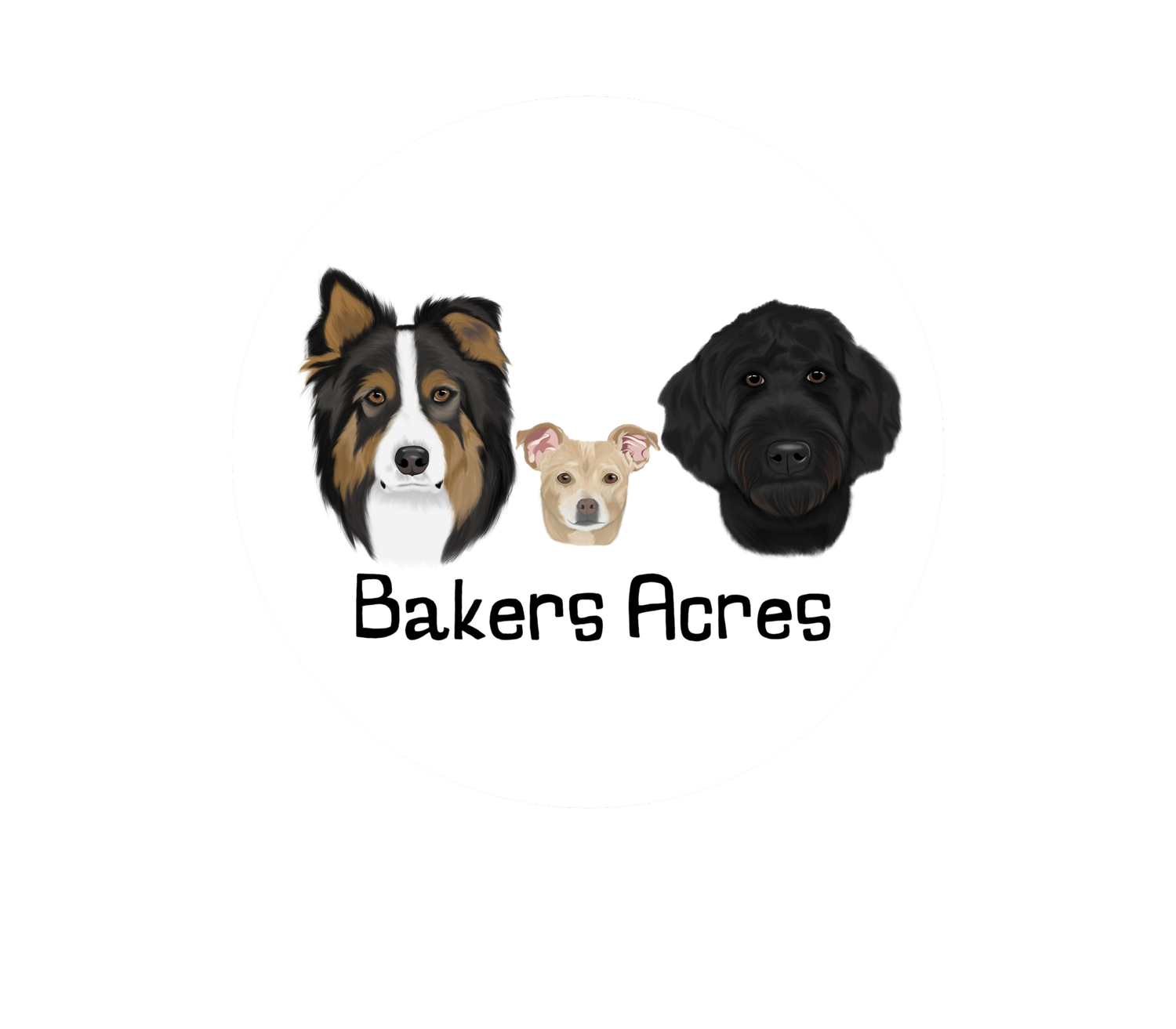 Bakers Acres K9 Academy