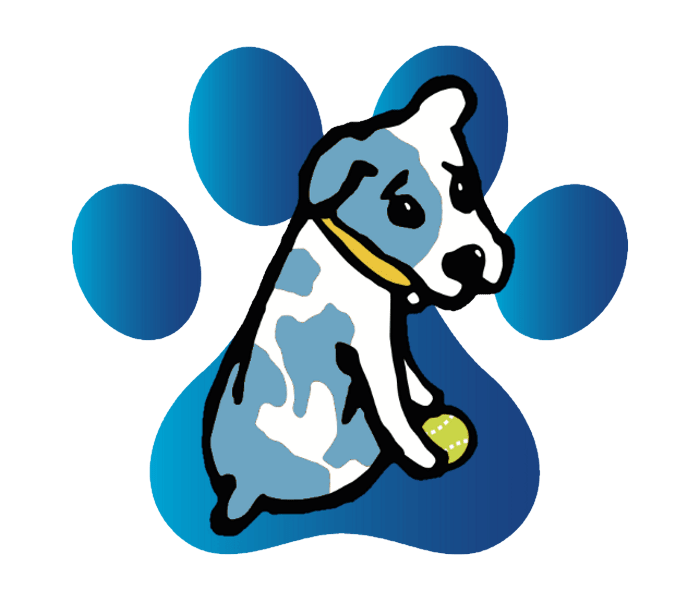 Paws To Train Your Dog
