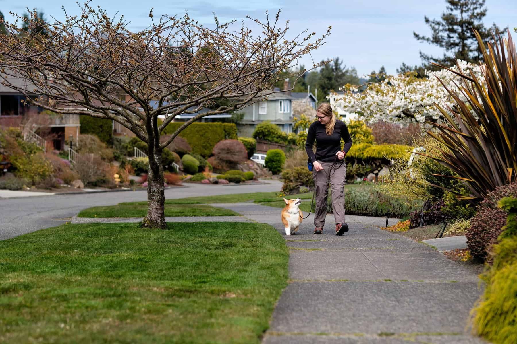 Trusty Dog Training Tulsa — dog trainer in Tulsa, OK