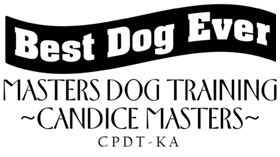 MastersBestDogEver