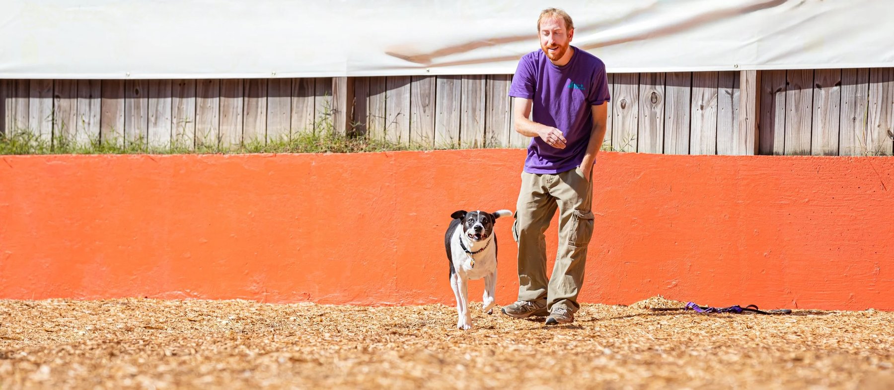 Atlanta Canine Behavior