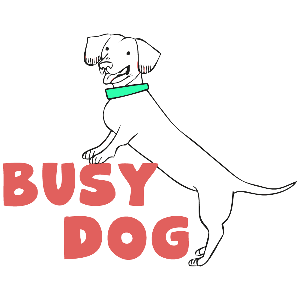 Busy Dog