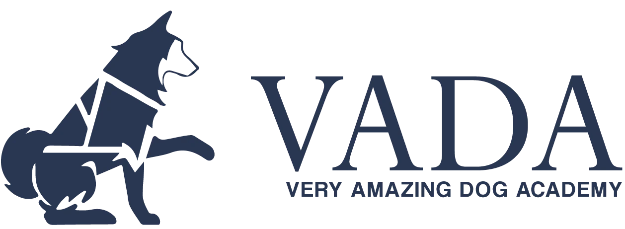Very Amazing Dog Academy LLC logo
