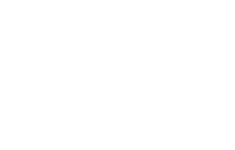 Honor Your Dog: Training and Behavior Solutions — dog trainer in Manitowoc, WI
