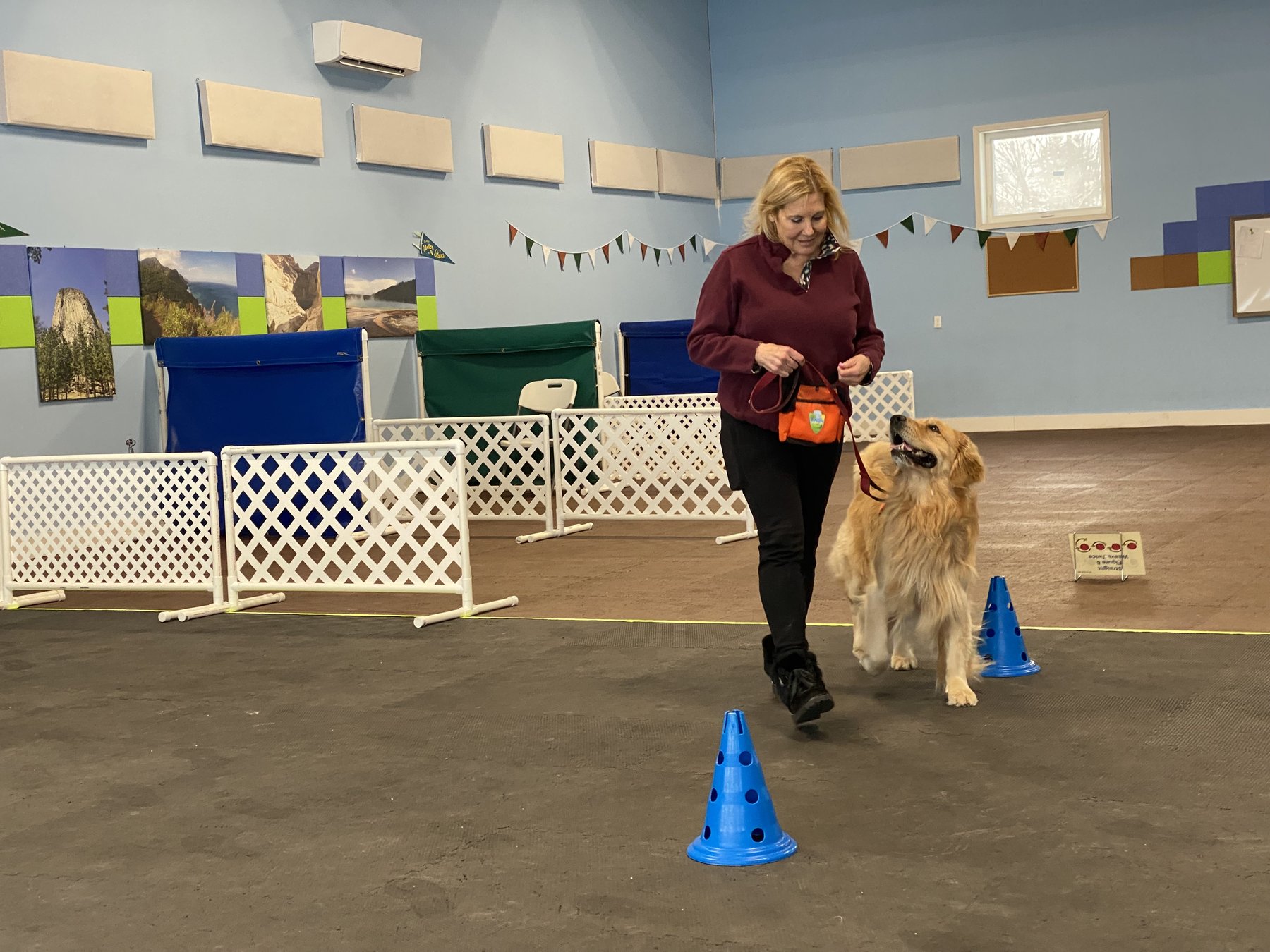 Barks and Rec. Animal Training and Behavior