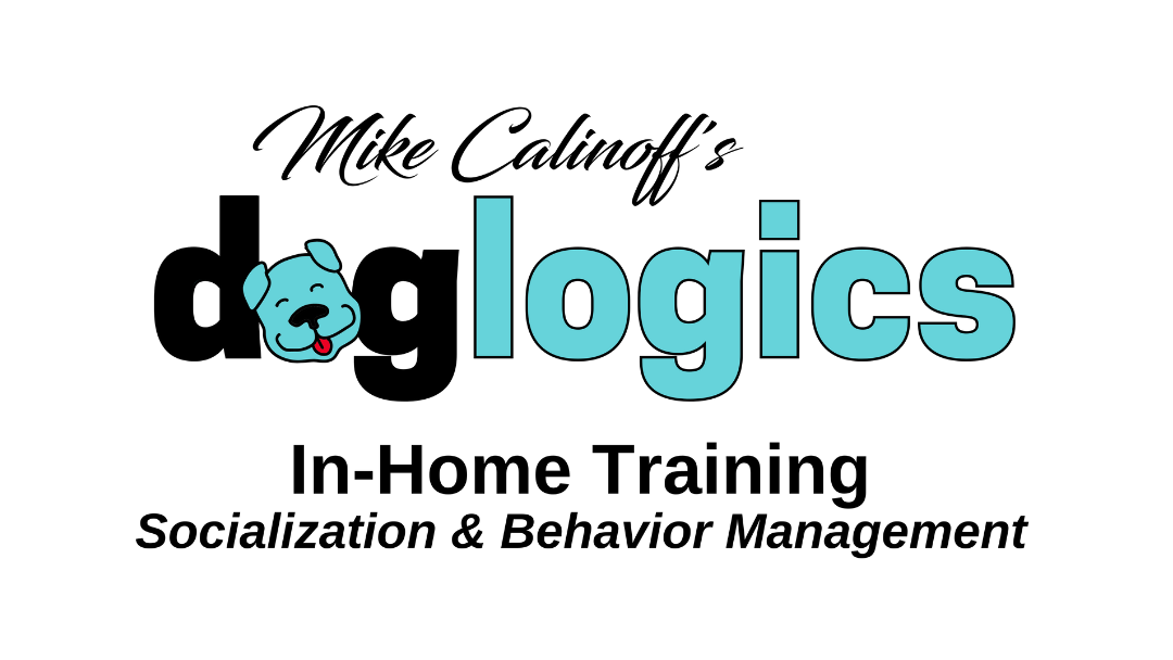 DOGLOGICS Training & Socialization