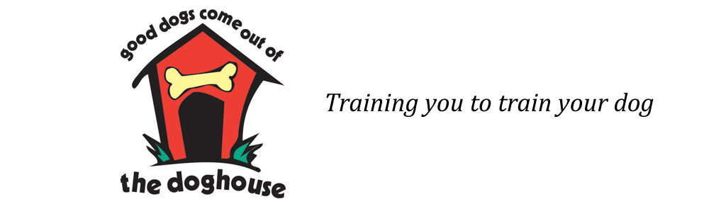 Des Moines Obedience Training Club
