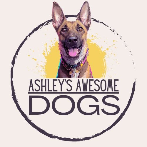 Ashley’s Awesome Dogs