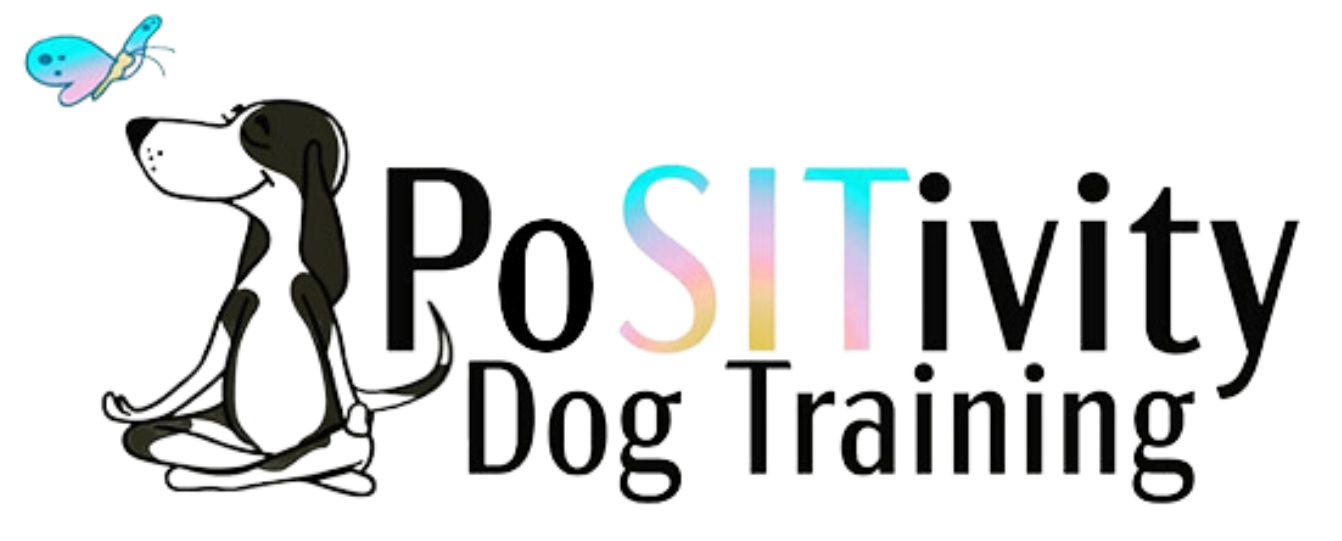 Positivity Dog Training LLC — dog trainer in South Metro Denver, CO