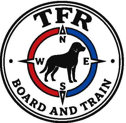 TFR Board and Train logo