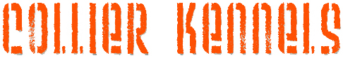 Collier Kennels logo