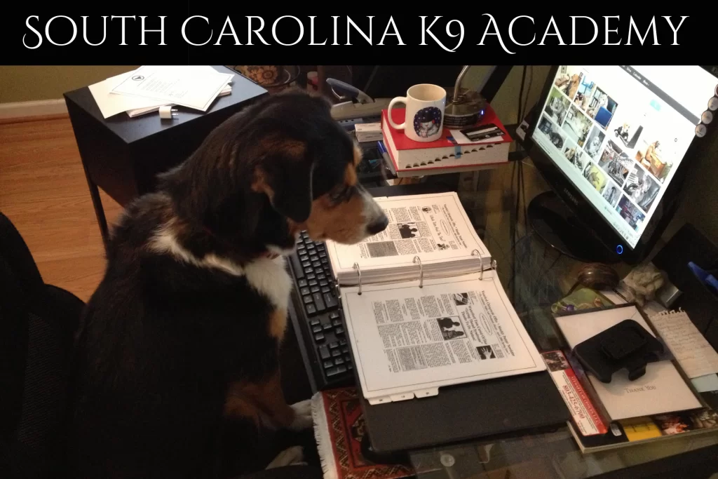 South Carolina K9 Academy