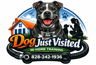 Dog Just Visited