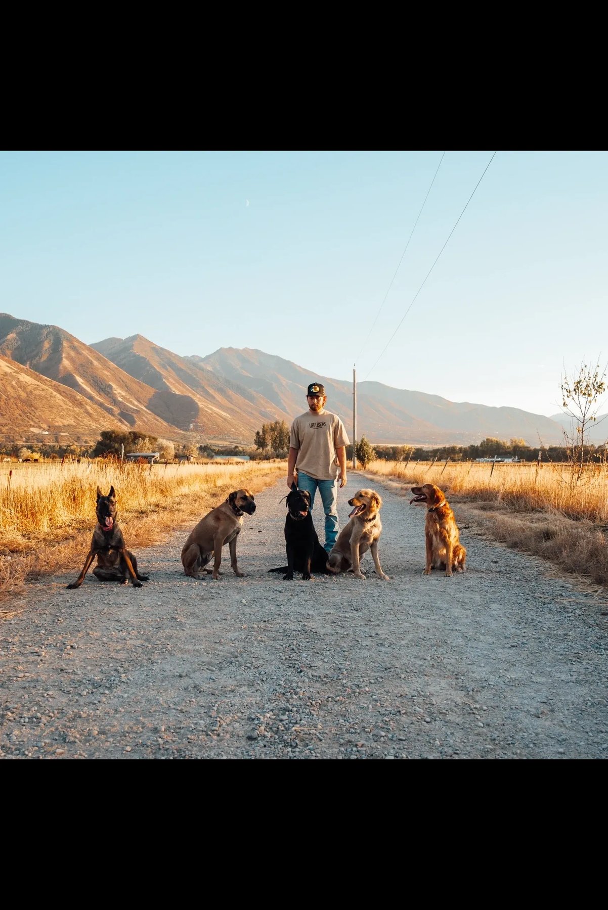Working Dog Kennels — dog trainer in Provo, UT
