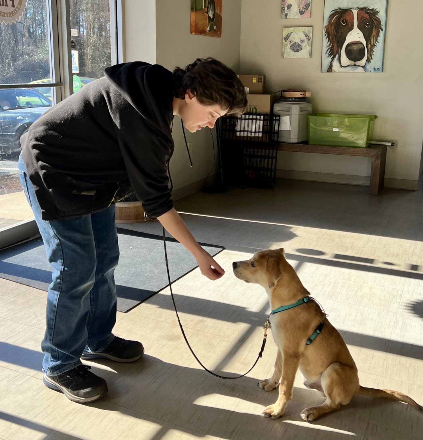 Canine Ph.D. Dog Training, Inc.