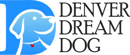 Denver Dream Dog