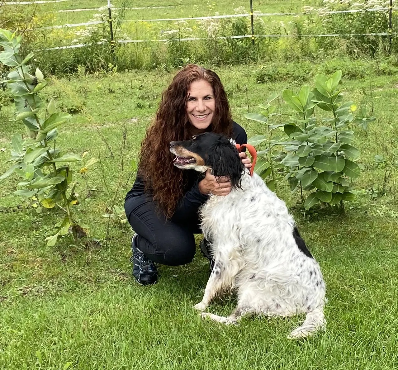 Bark Busters Home Dog Training Kalamazoo & Battle Creek — dog trainer in Kalamazoo, MI