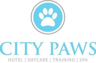 City Paws Pet Club – Dog Daycare, Boarding, Training & Grooming