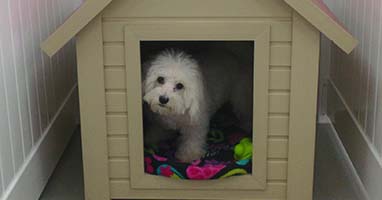 Wee Little Paws Inn