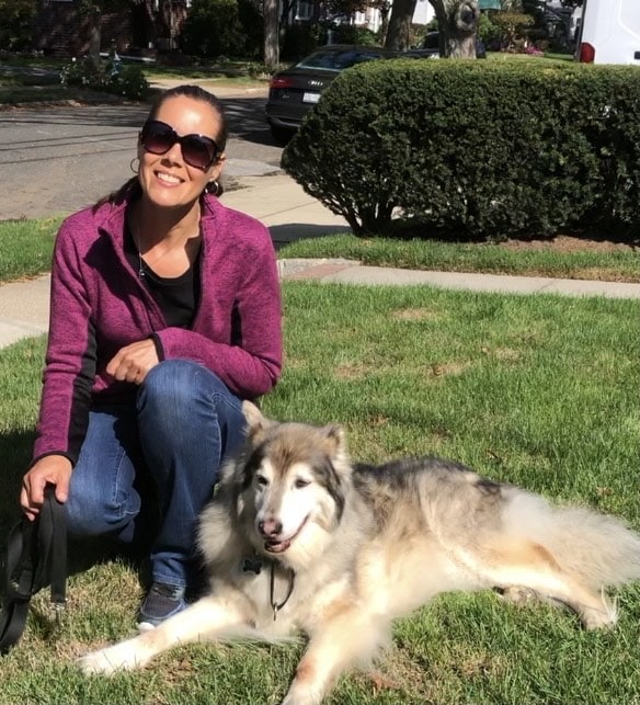 Better Together Dog Training