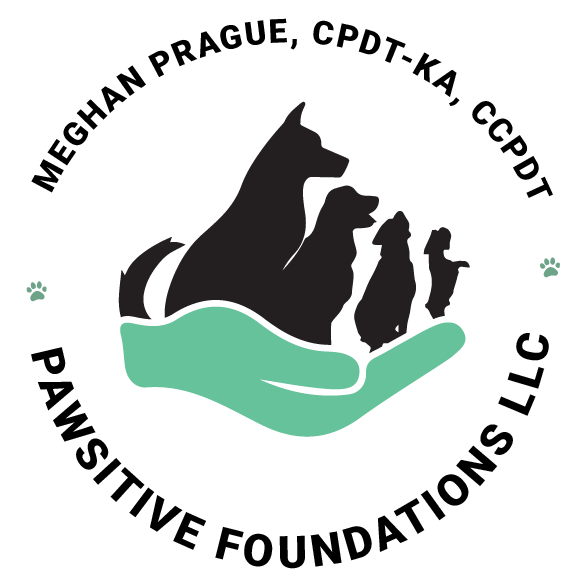 Pawsitive Foundations LLC logo
