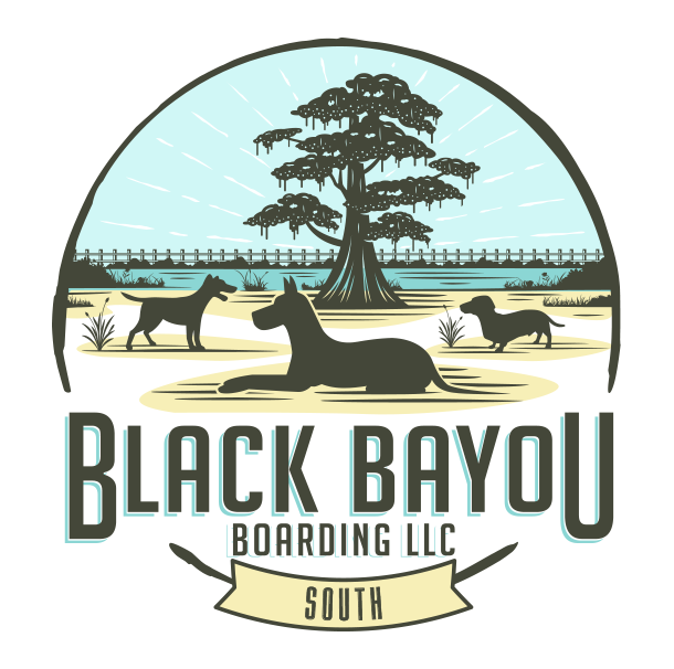 Black Bayou Boarding LLC logo