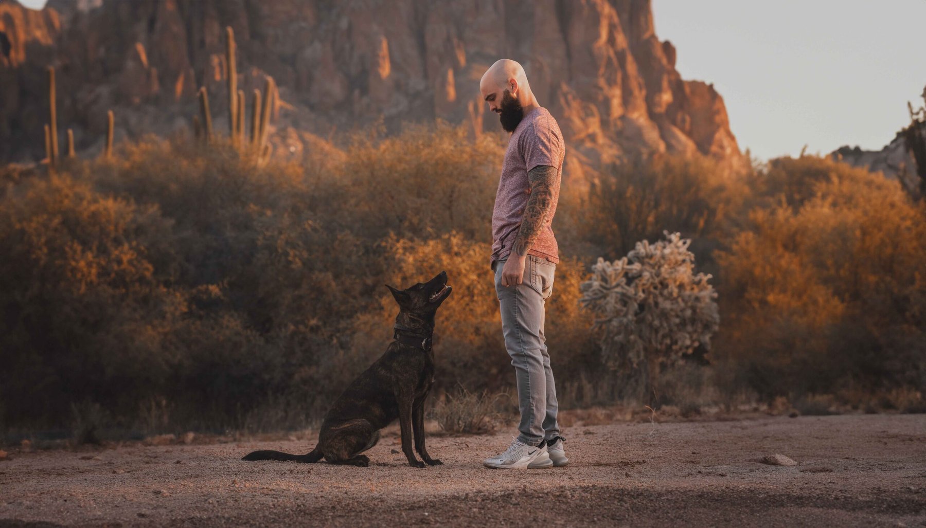 That Dog Trainer