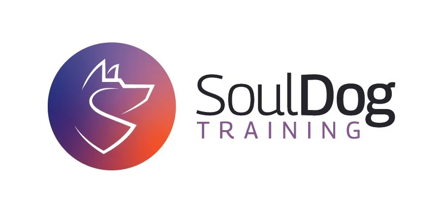 Soul Dog Training — dog trainer in Fort Collins, CO