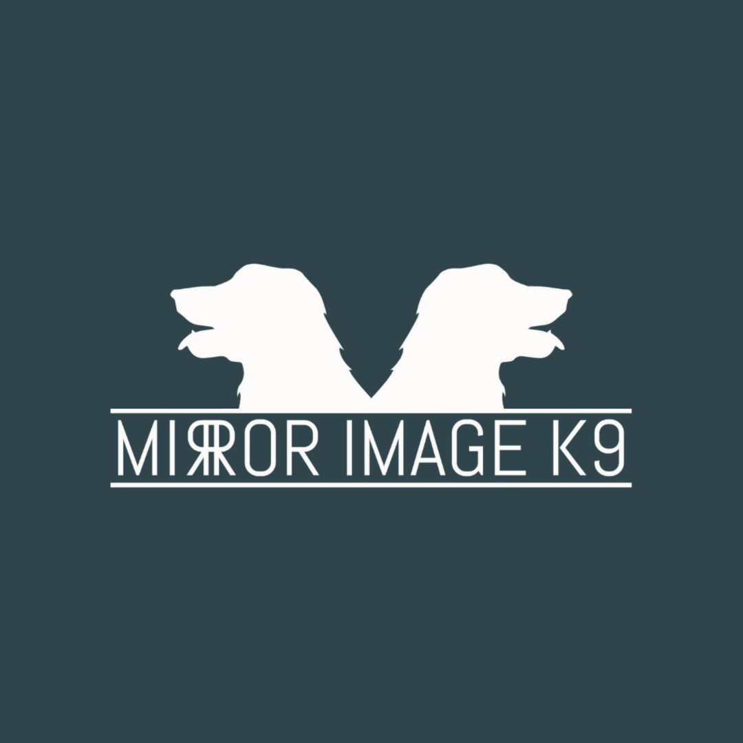 Mirror Image K9