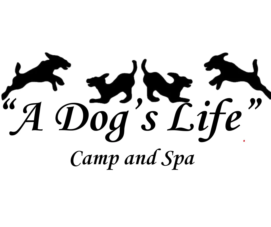 A Dog’s Life Camp and Spa logo