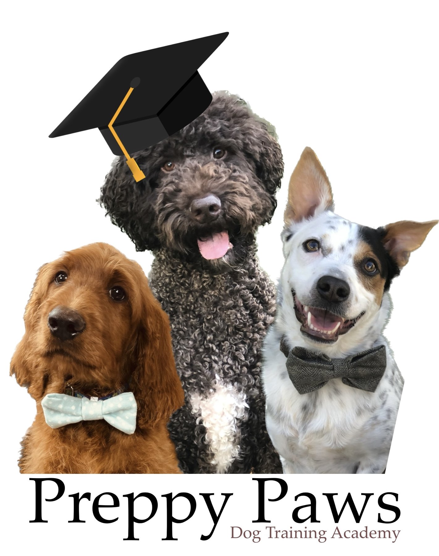 Preppy Paws Academy & Supplies — dog trainer in Salt Lake City, UT