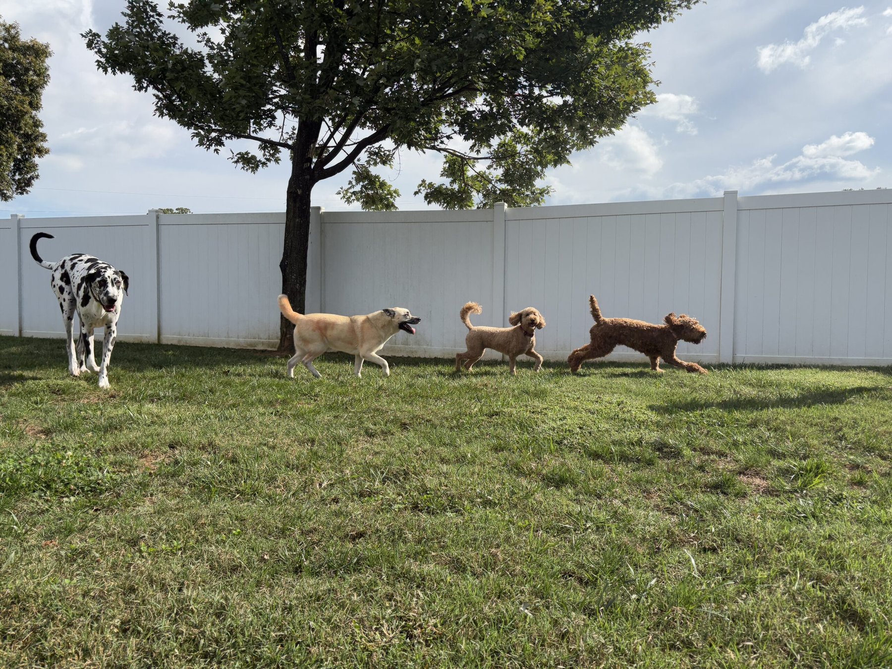 Bark & Fly Ranch